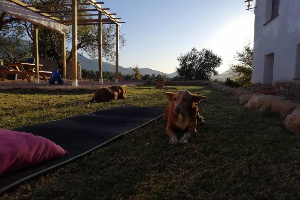 Casa de Férias Cortijo Rural Gumeo